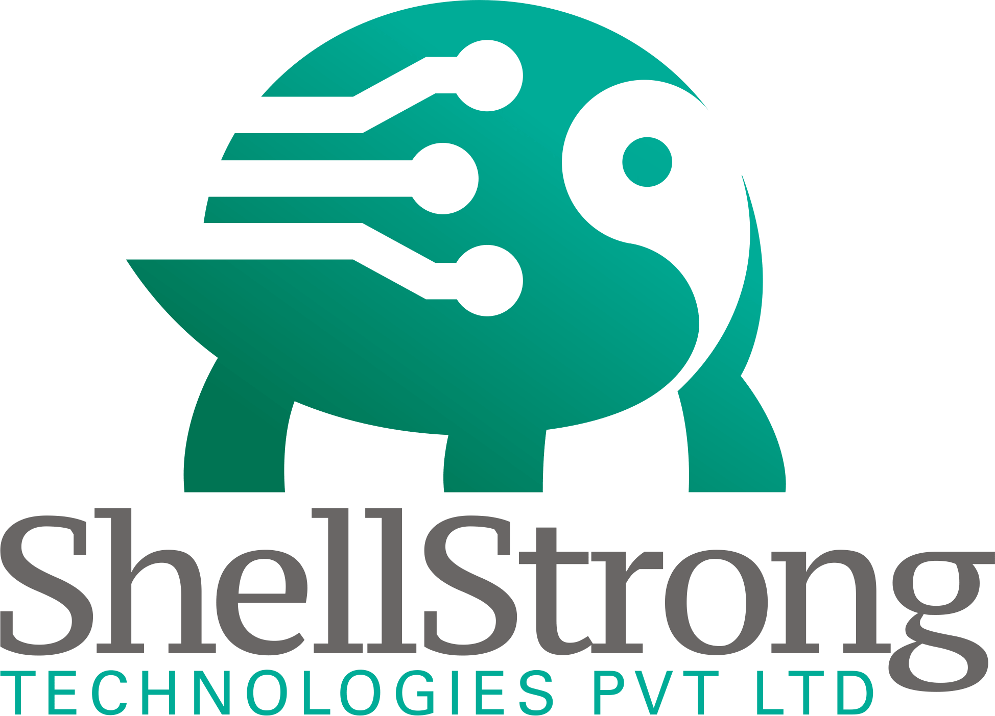 Shell Strong